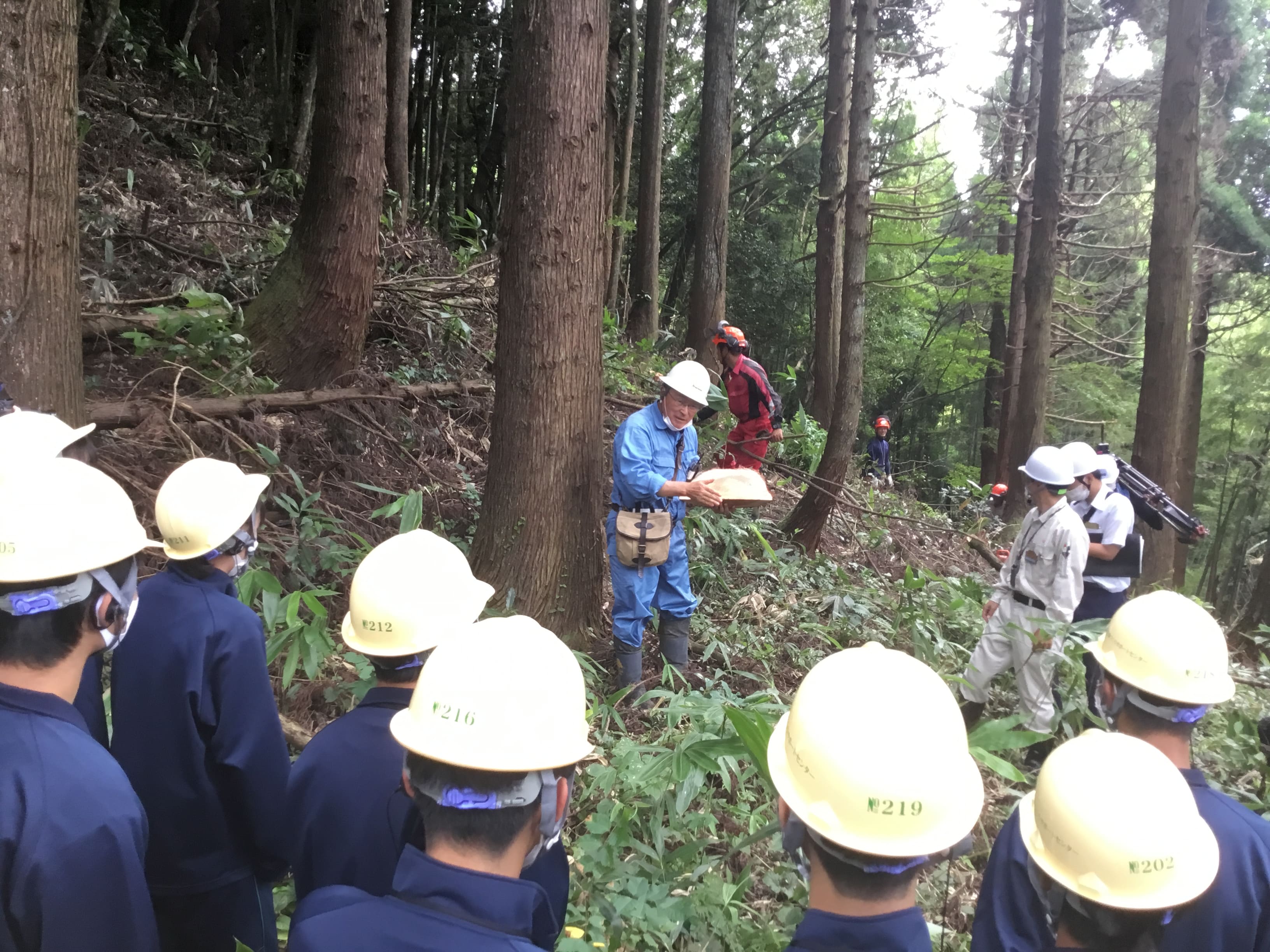 地域との協働